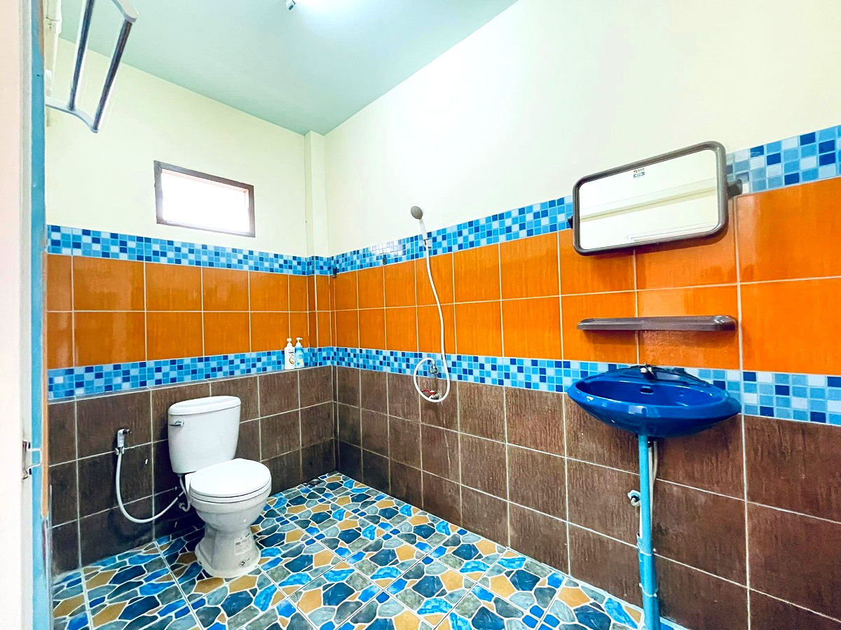 Pictures of Green house1 41/59