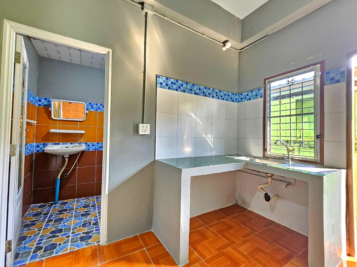 Pictures of Green house1 3/59