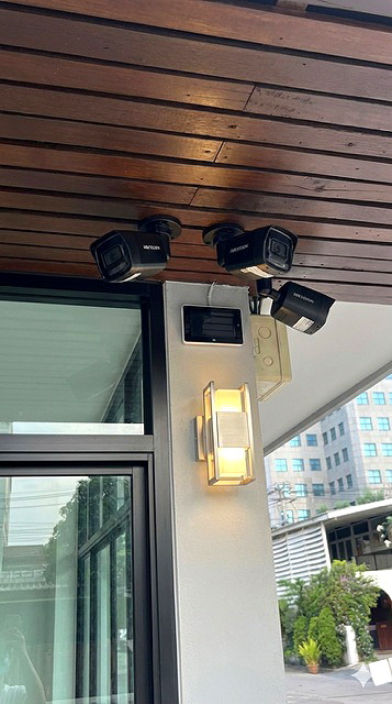 Pictures of PT Place 12/13