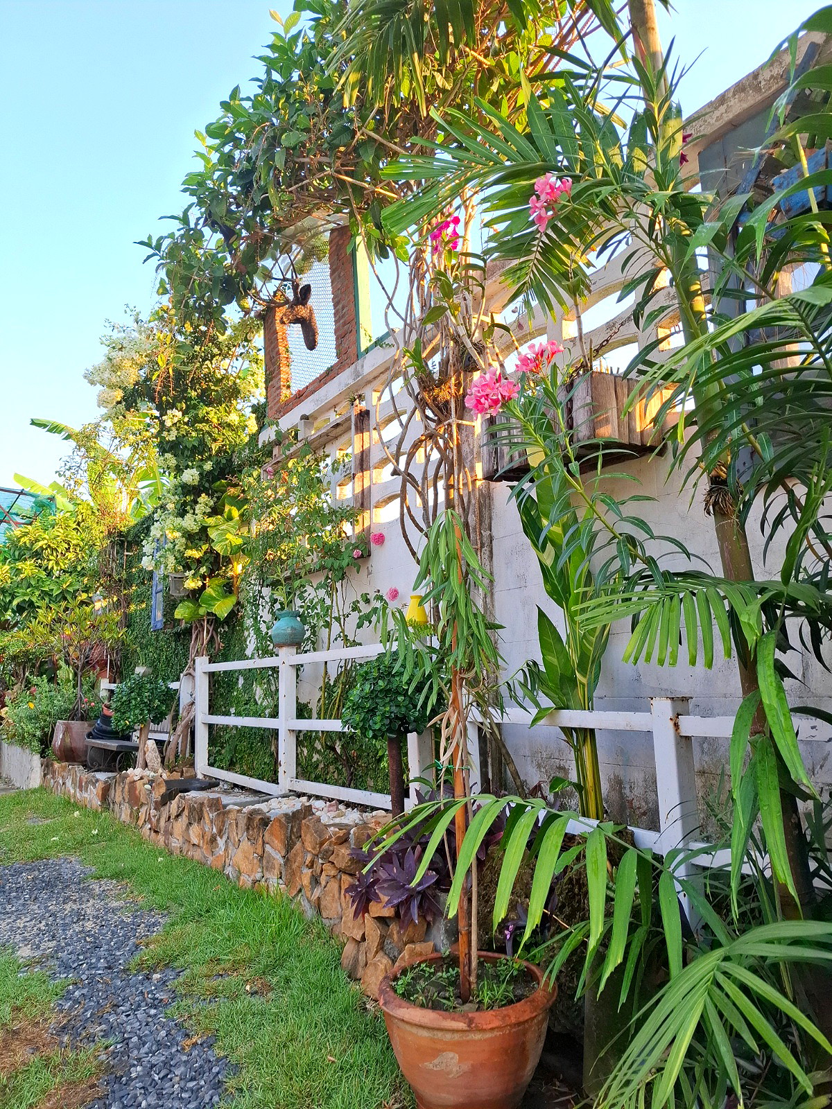 Pictures of บ้านรุณรี69( Baan RunNaRee 69) 2/12