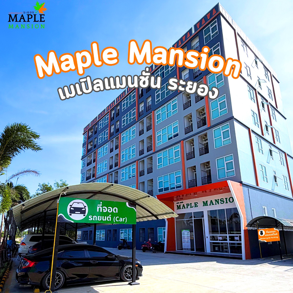 Pictures of Maple Mansion  27/27