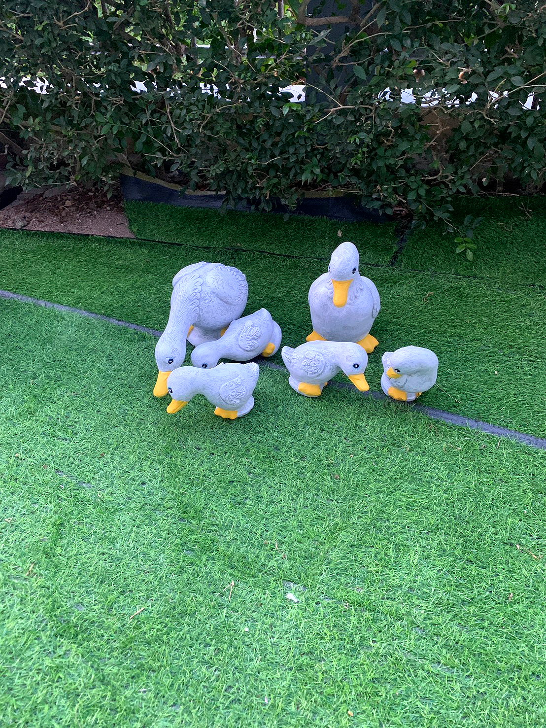 Pictures of M-House Apartment  26/27