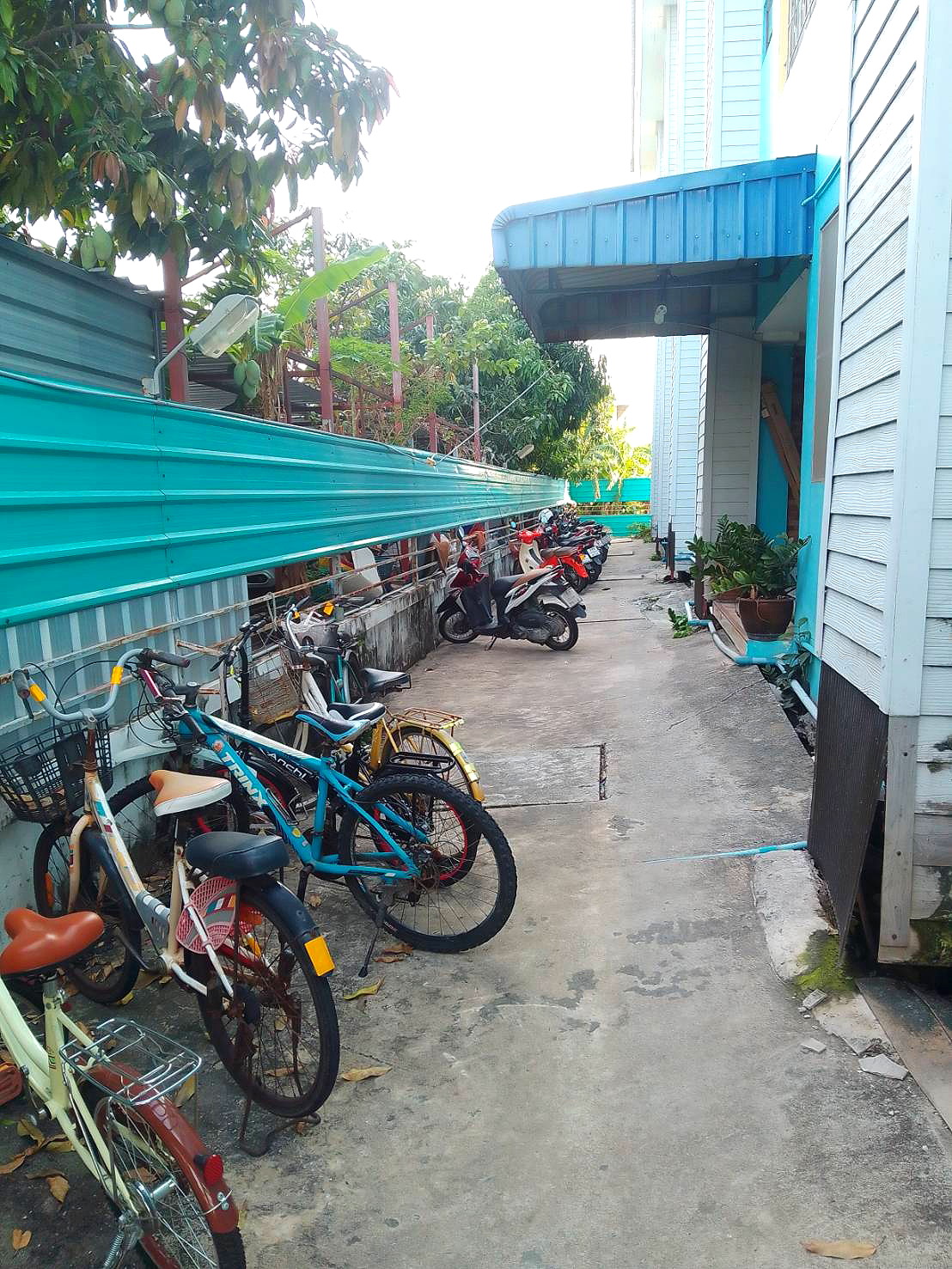 Pictures of THONGJINDA 16/26