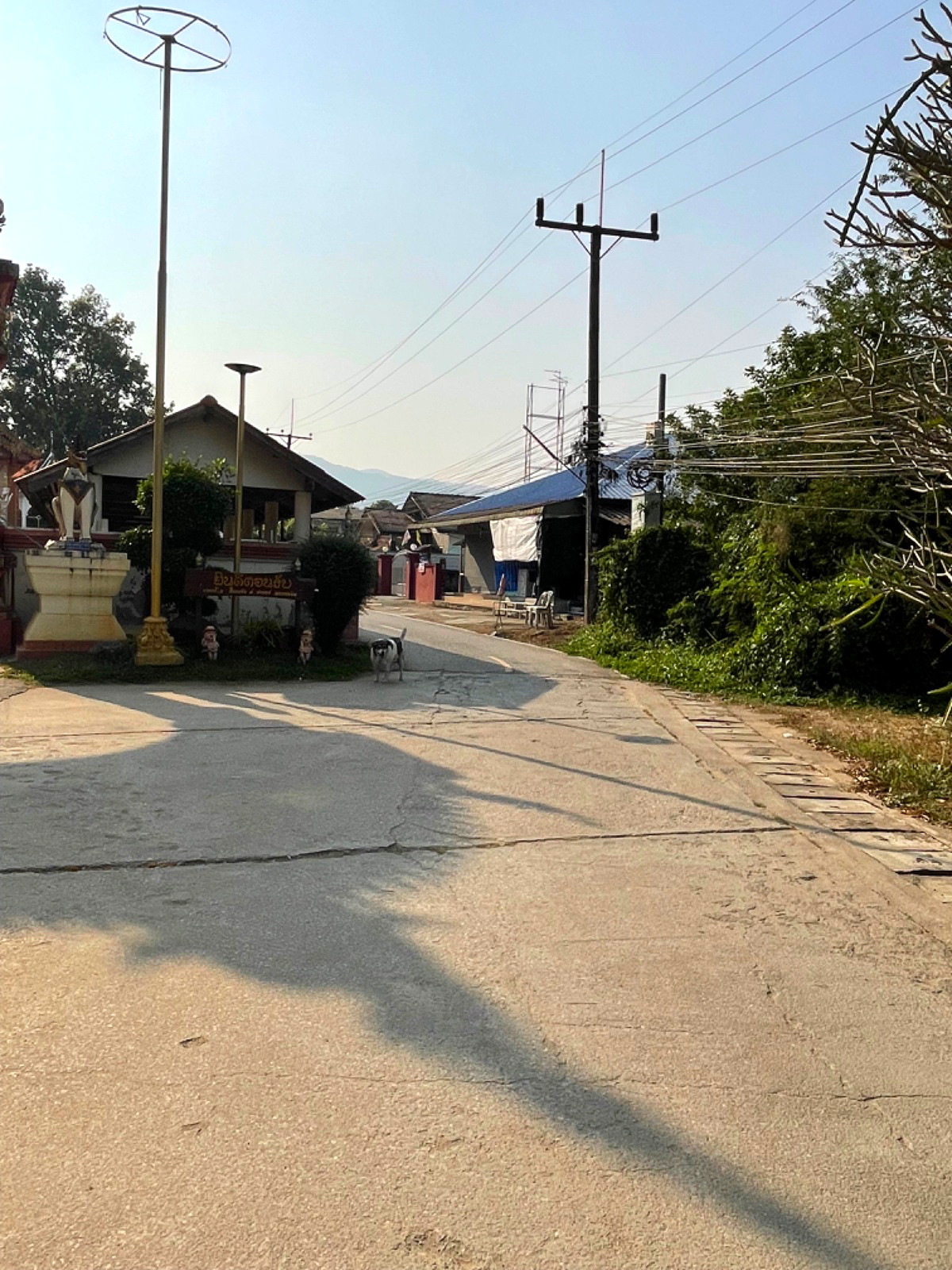 รูปภาพ หอพักศิริธร | อพาร์ทเม้นท์ หอพัก ที่พัก ห้องพัก - รูปที่ 30/34