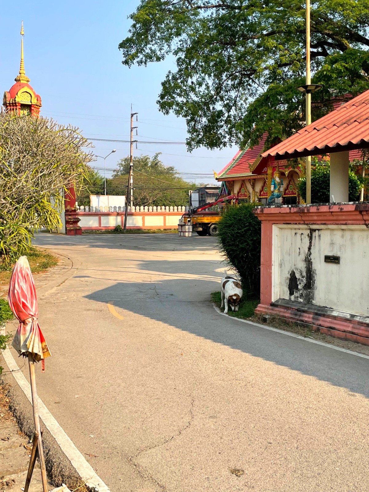 รูปภาพ หอพักศิริธร | อพาร์ทเม้นท์ หอพัก ที่พัก ห้องพัก - รูปที่ 31/34