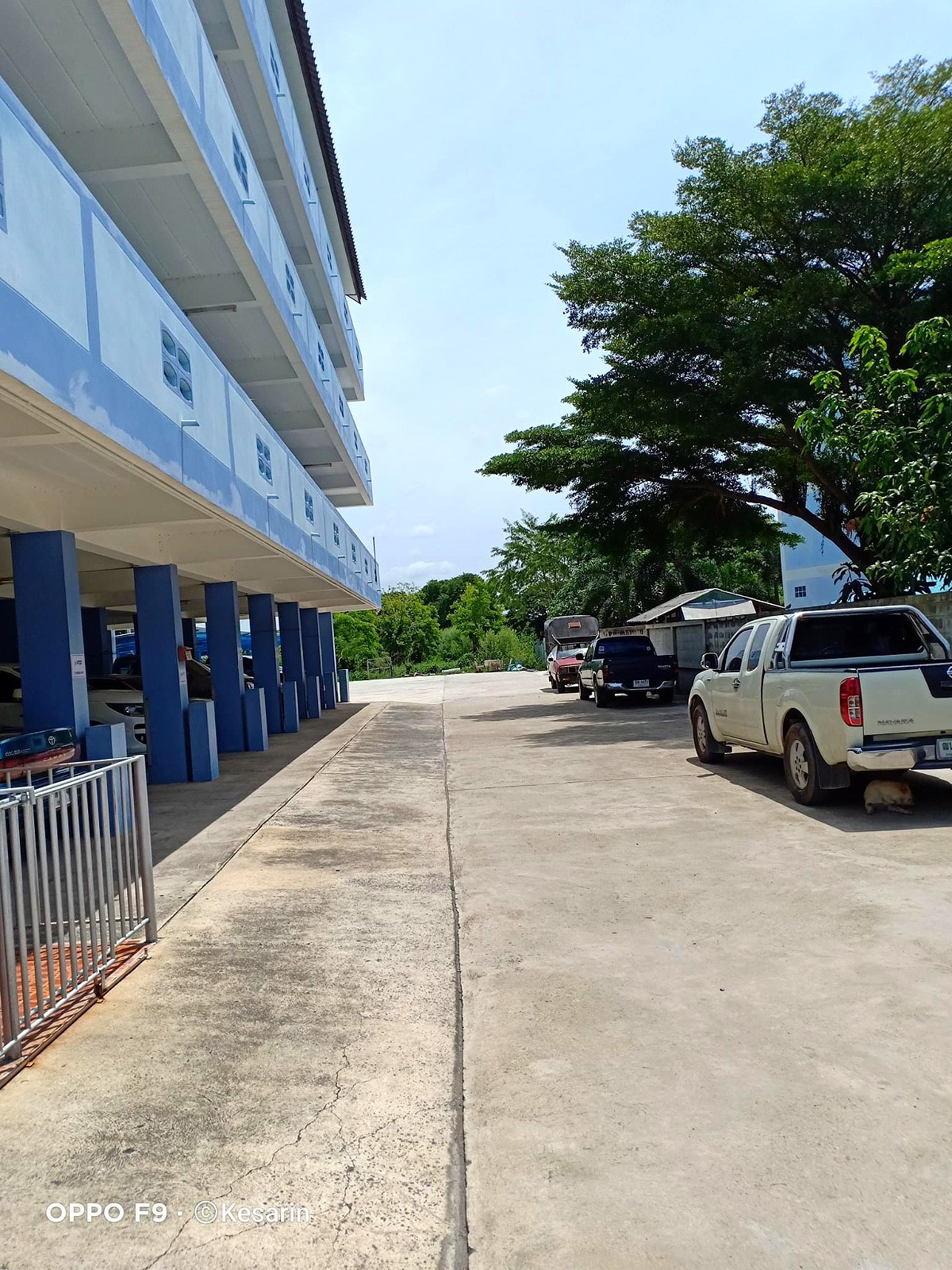 Pictures of Baansila 2/9