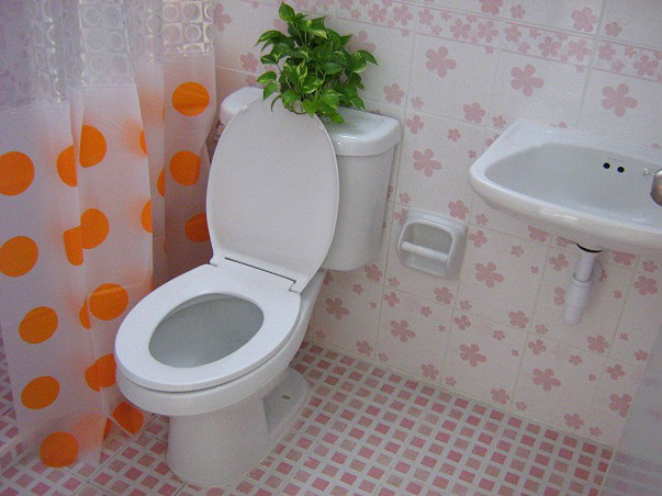 รูปภาพ Apple T Apartment | อพาร์ทเม้นท์ หอพัก ที่พัก ห้องพัก - รูปที่ 13/16