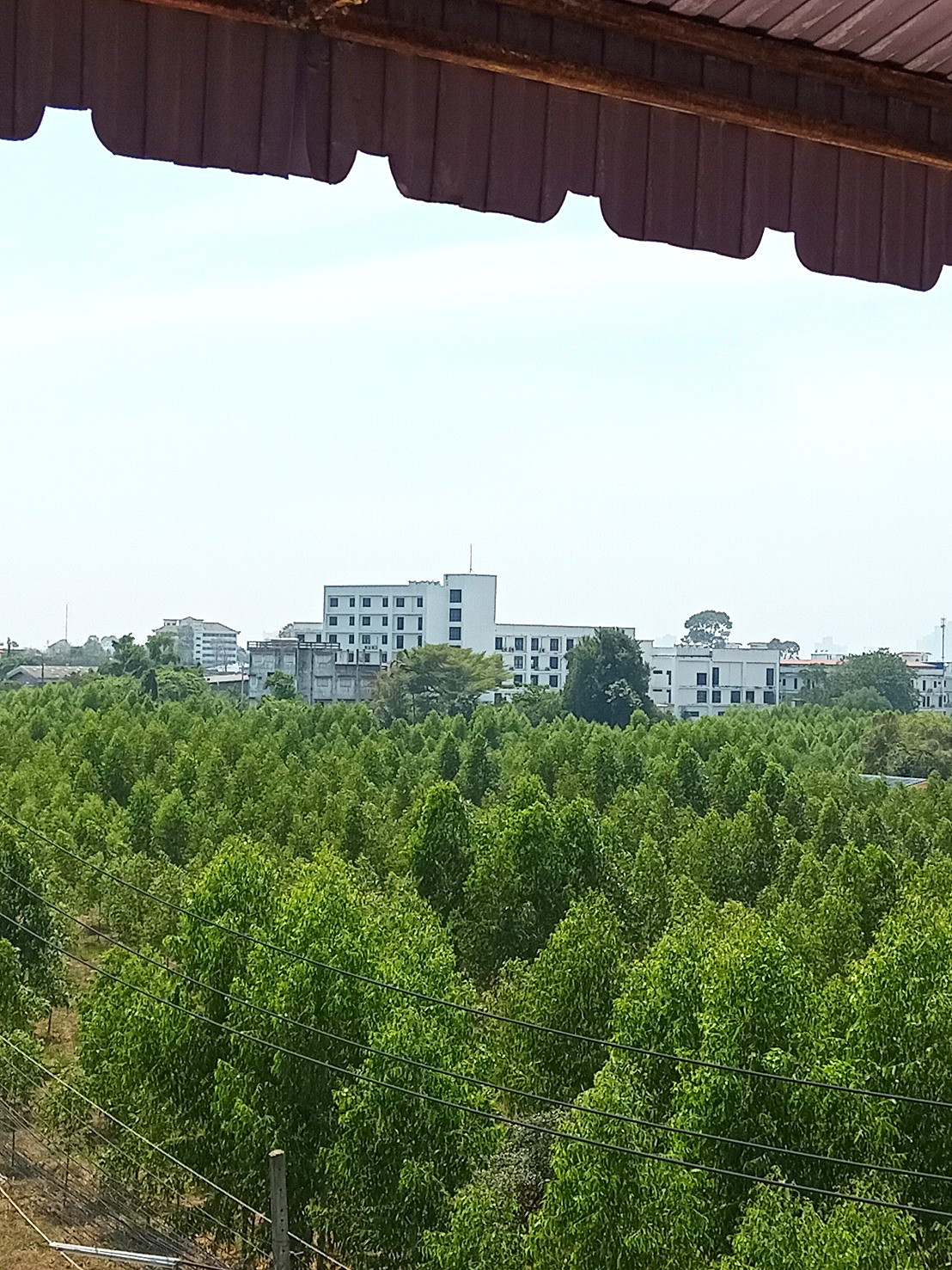 Pictures of Laksiri Mansion 15/47