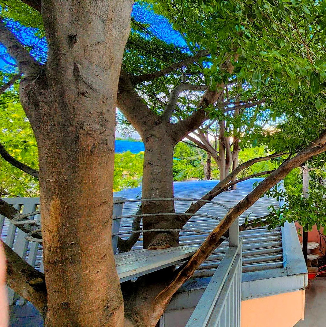 รูปภาพ ธี อพาร์ทเม้นท์ | อพาร์ทเม้นท์ หอพัก ที่พัก ห้องพัก - รูปที่ 18/18