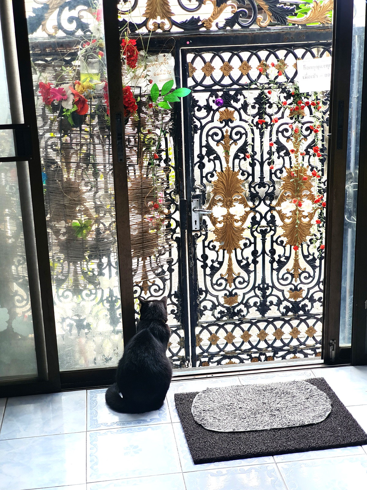 Pictures of Baannamwarn 8/11