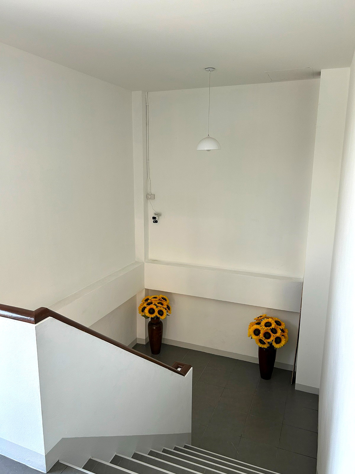 Pictures of BB Room 6/20