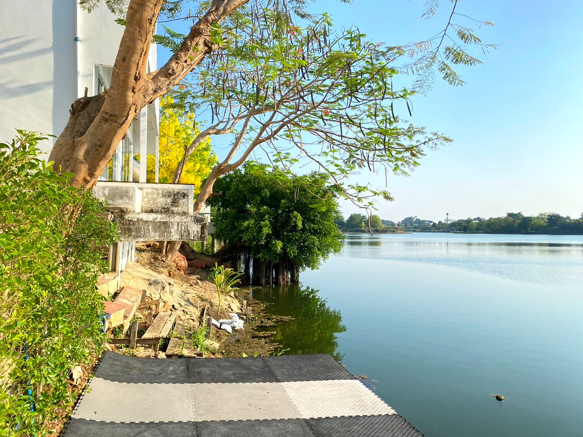 Pictures of PP Plus Bus Solar  47/63