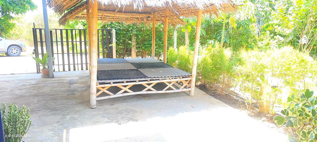 Pictures of PP Plus Bus Solar  56/63