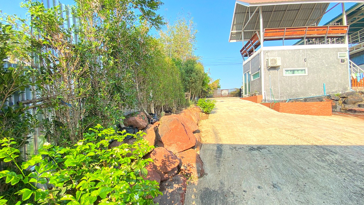 Pictures of PP Plus Bus Solar  51/63