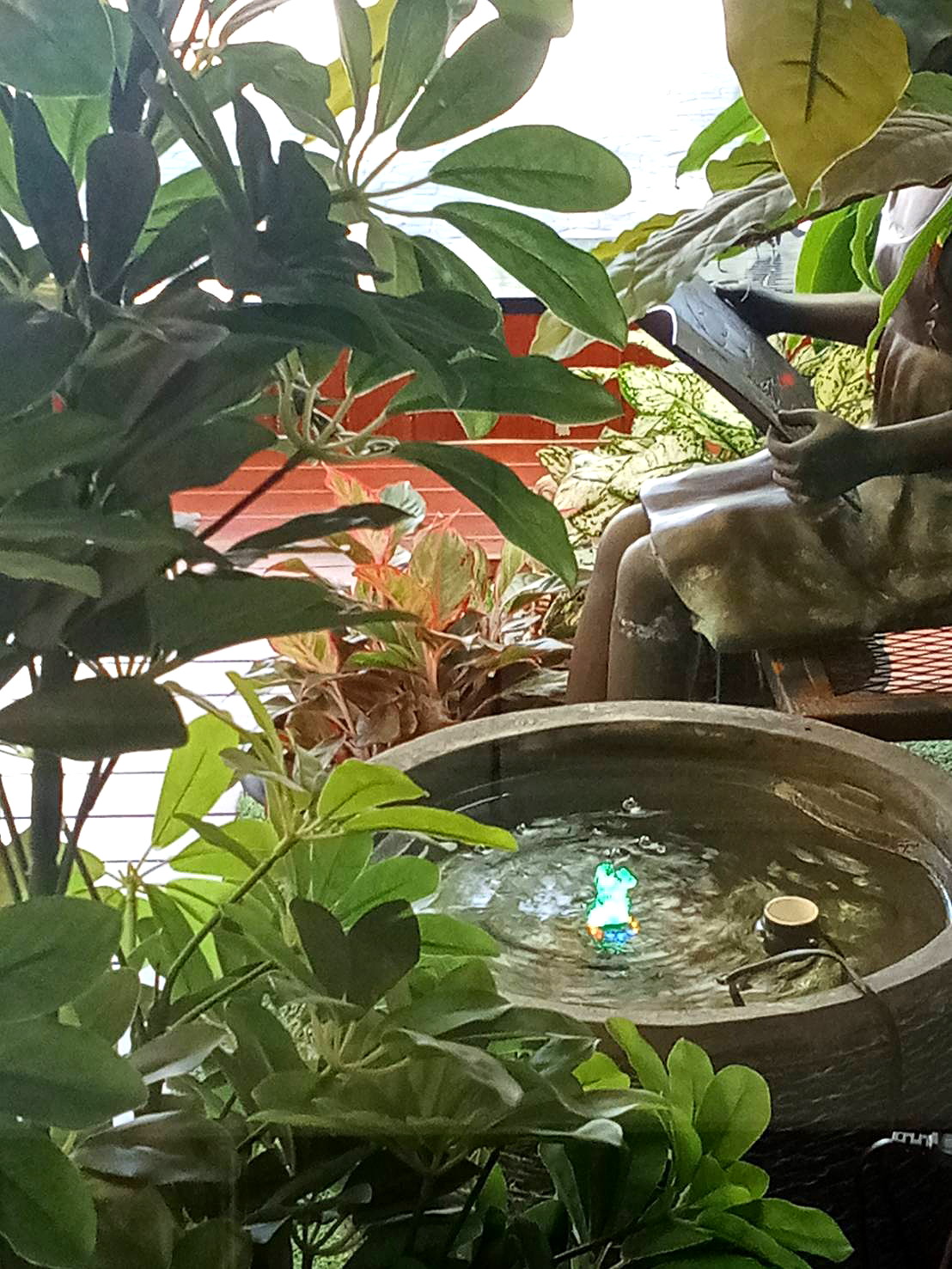 รูปภาพ หอพักบ้านสีชมพู หอหญิงติดม.บูรพา | อพาร์ทเม้นท์ หอพัก ที่พัก ห้องพัก - รูปที่ 31/42