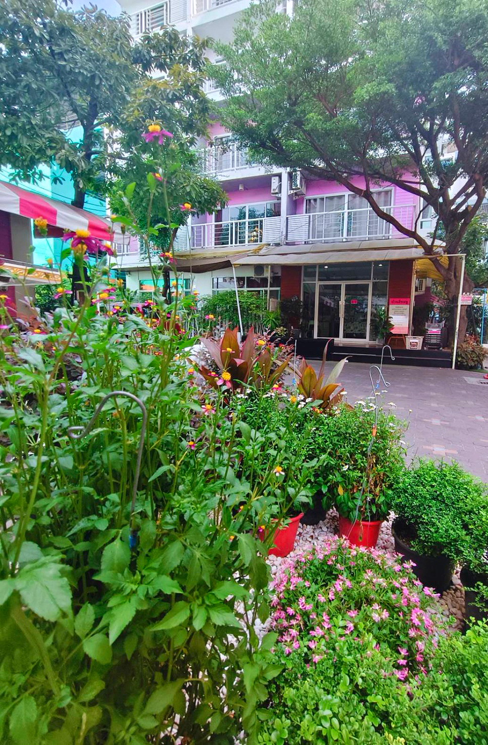 รูปภาพ หอพักบ้านสีชมพู หอหญิงติดม.บูรพา | อพาร์ทเม้นท์ หอพัก ที่พัก ห้องพัก - รูปที่ 34/42