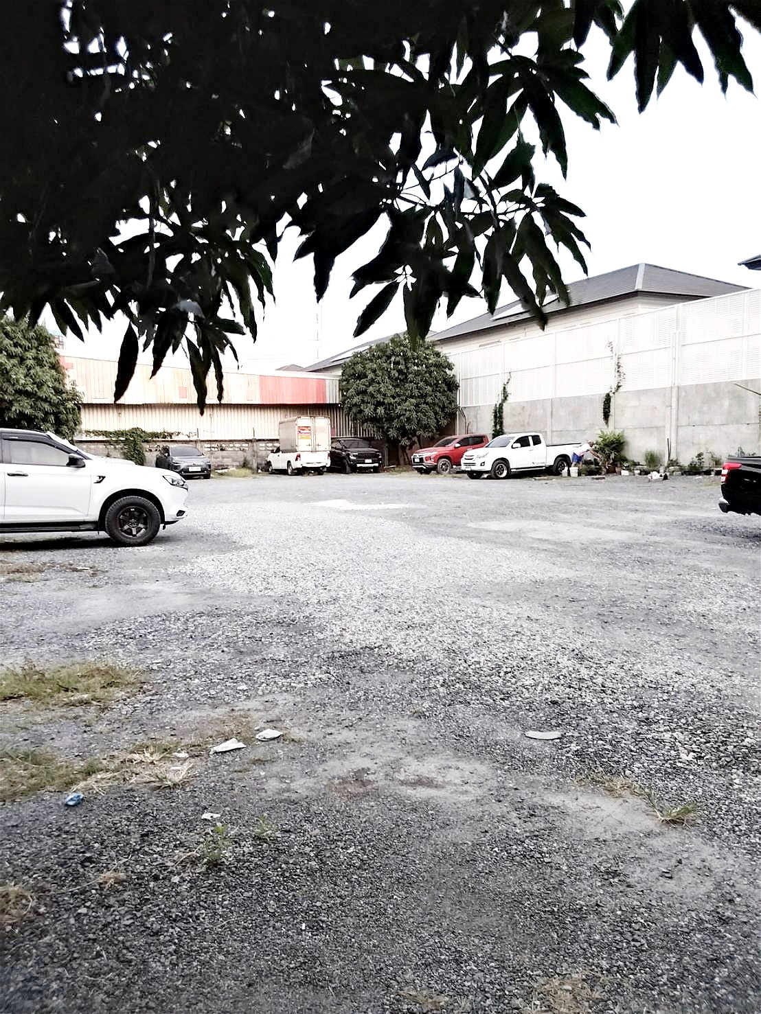 Pictures of ppkkingkuew45 9/9