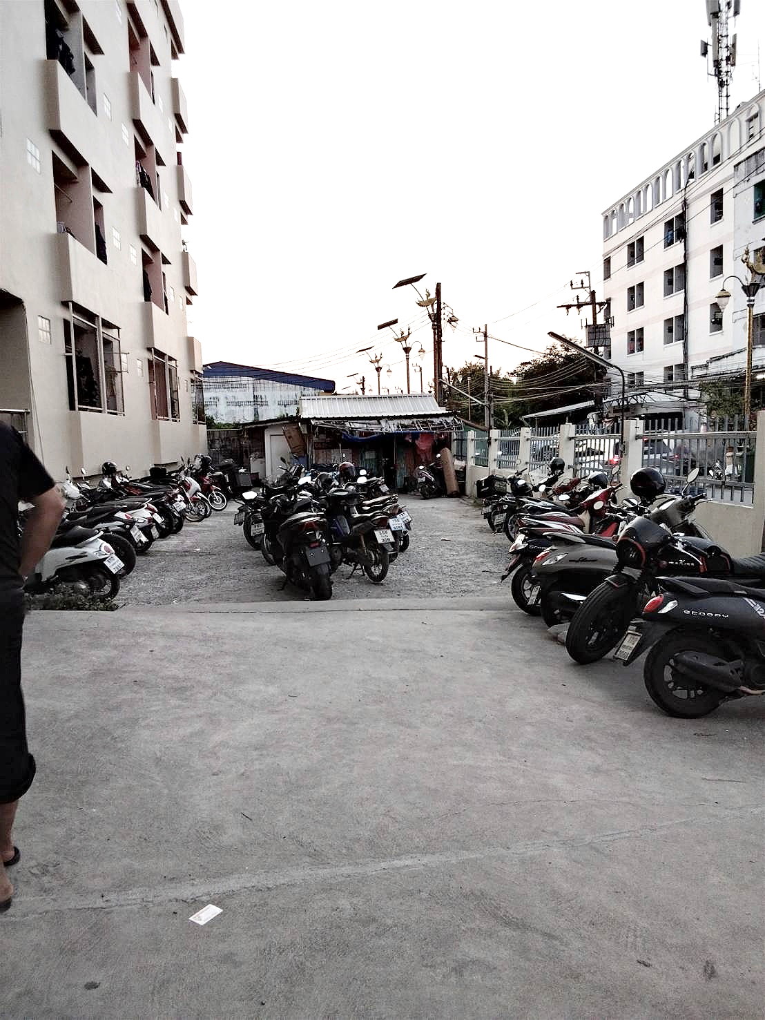 Pictures of ppkkingkuew45 8/9