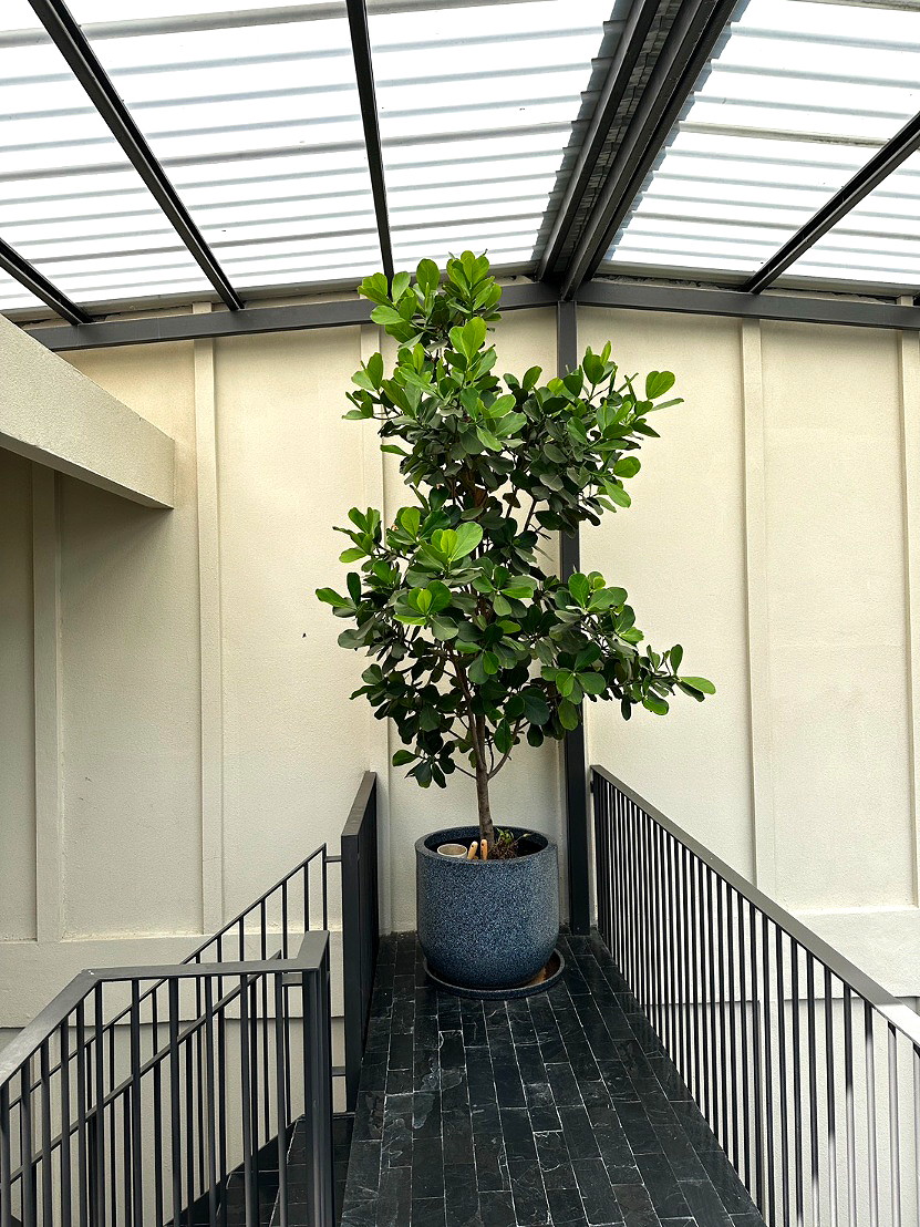 รูปภาพ PRIDI LIGHT HOUSE  | อพาร์ทเม้นท์ หอพัก ที่พัก ห้องพัก - รูปที่ 14/14