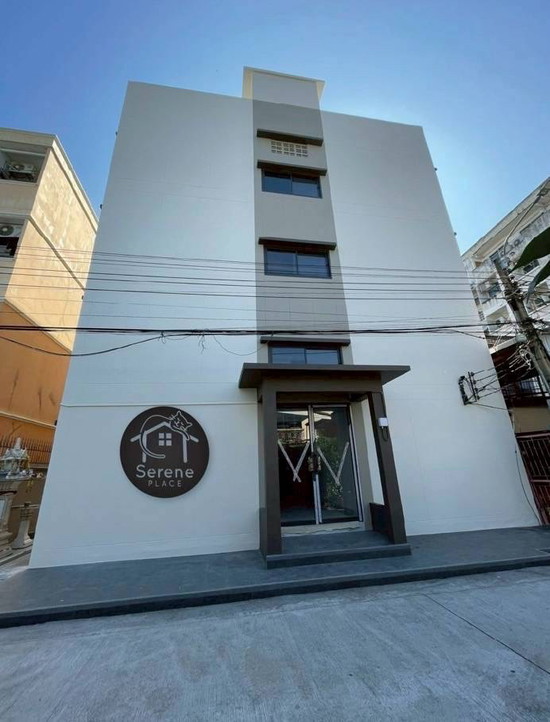 Serene place - Apartment for Rent