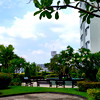 A cool cat.