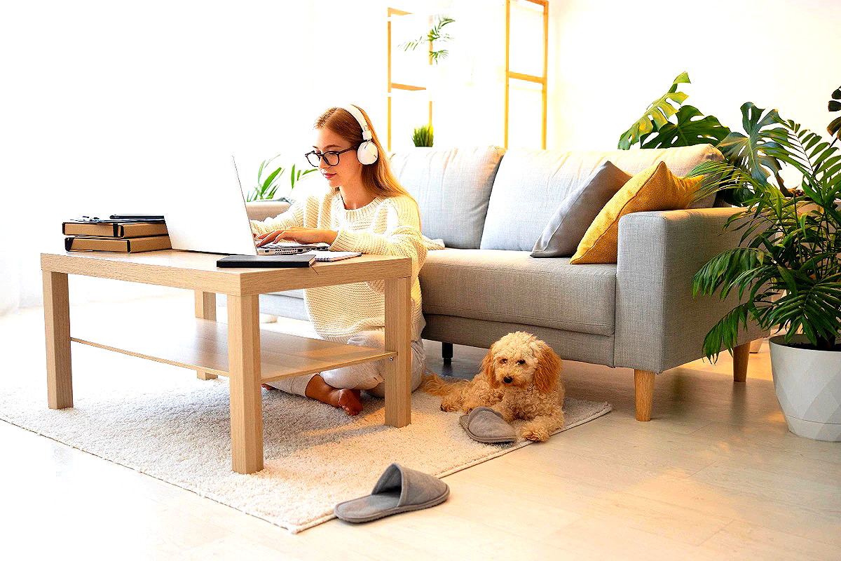 รูปภาพ Renthub Apartment | อพาร์ทเม้นท์ หอพัก ที่พัก ห้องพัก - รูปที่ 1/1