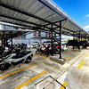 A cool cat.