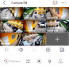 A cool cat.