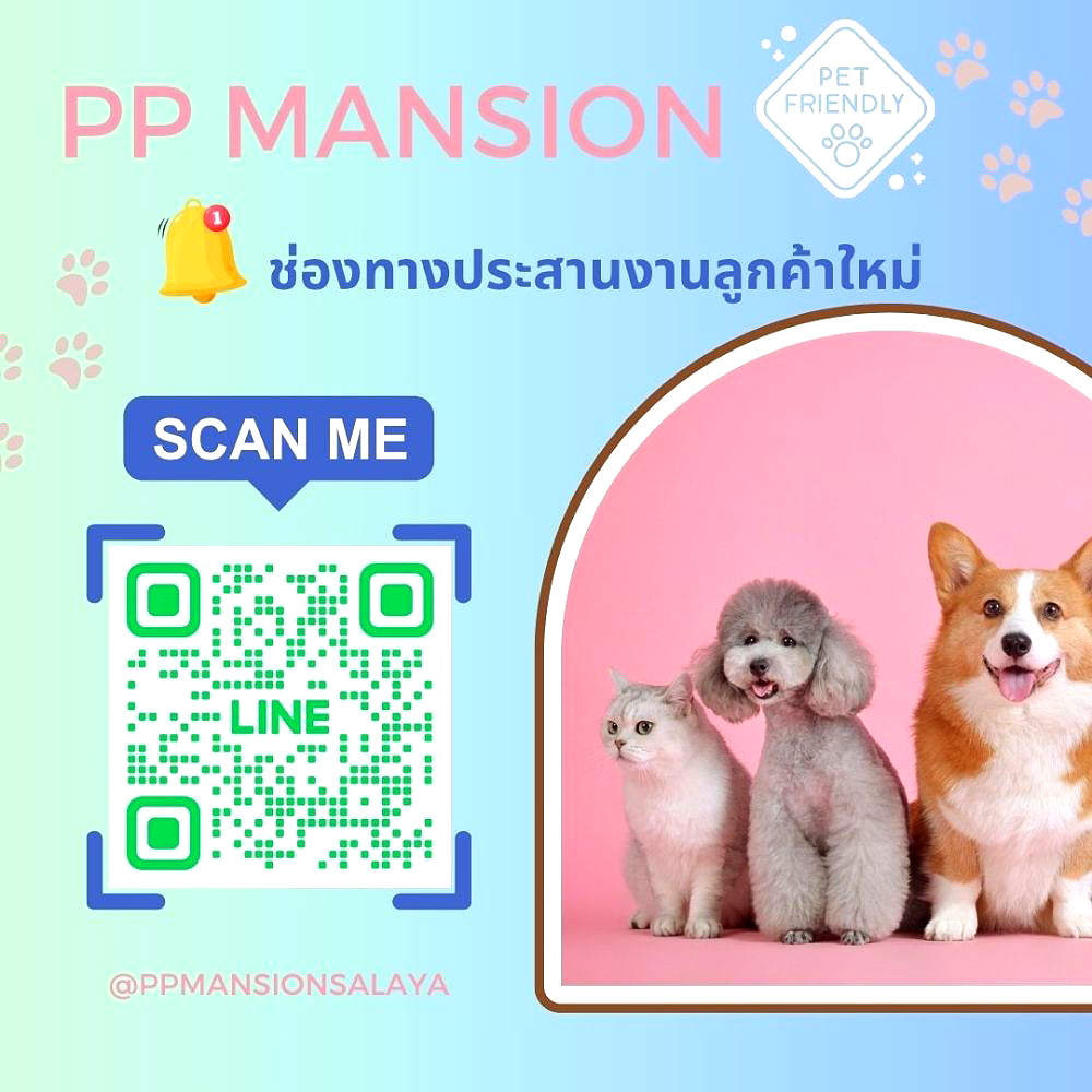รูปภาพ PP Mansion  ห้องพัก ศาลายา เลี้ยงสัตว์ได้ | อพาร์ทเม้นท์ หอพัก ที่พัก ห้องพัก - รูปที่ 4/12
