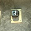 A cool cat.