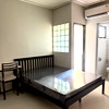 A cool cat.