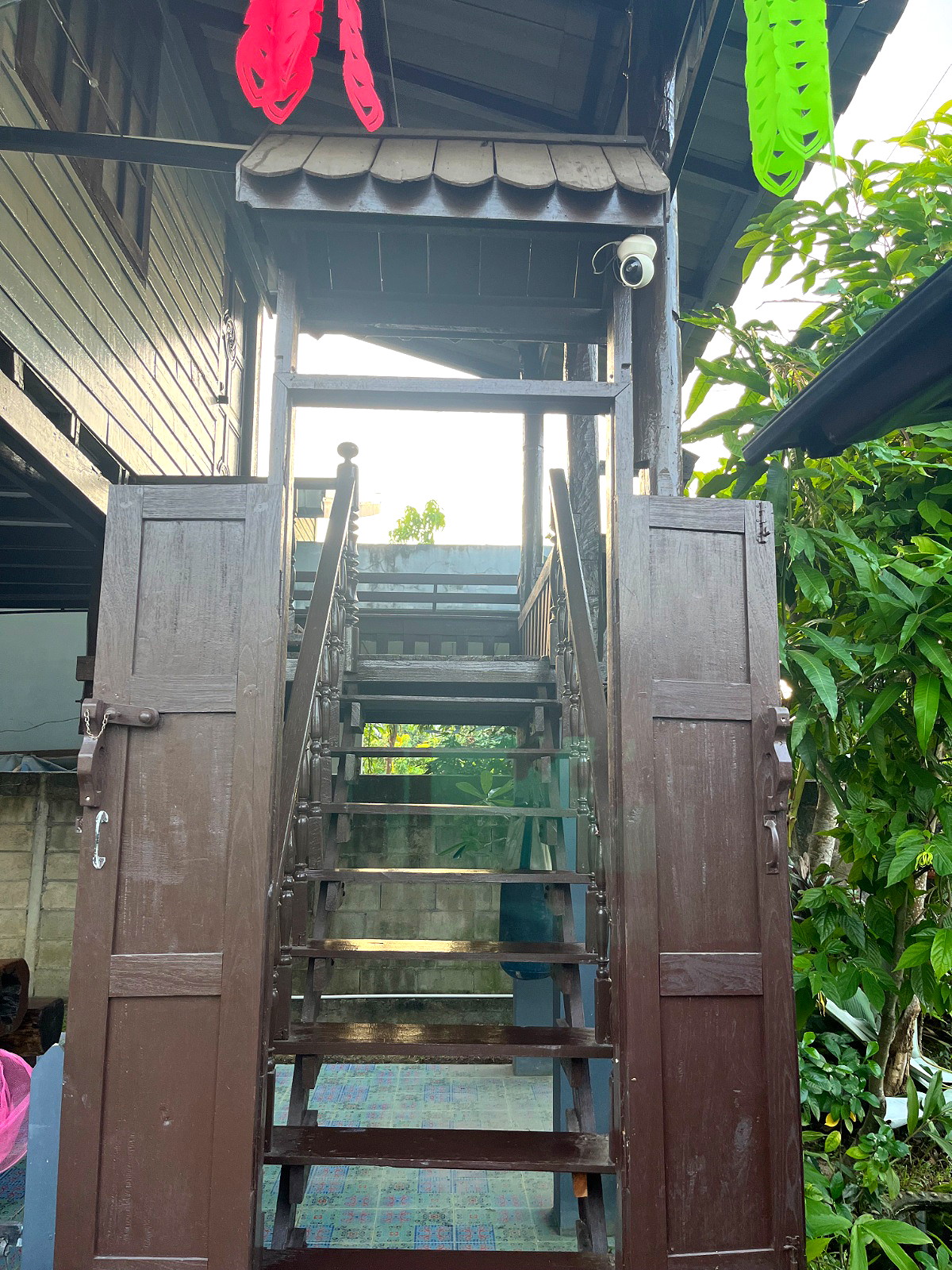Pictures of thai organic herb 4/8