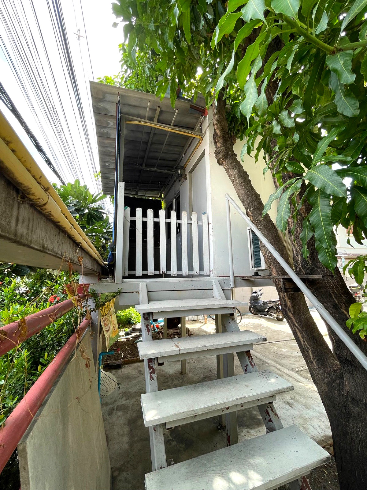 Pictures of bantonmai donmuang 10/10