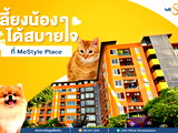 Mestyle Place
