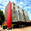 A cool cat.