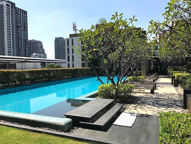 Pictures of Hive Taksin 6/19