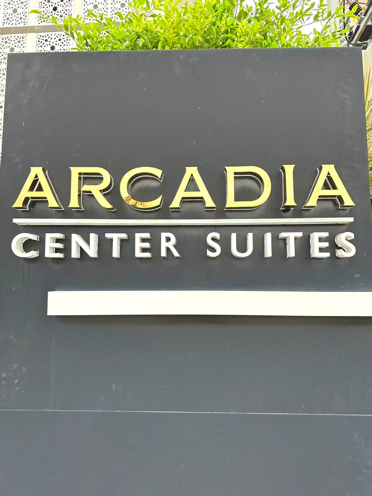 Pictures of ACADIA CENTER SUITE 1/11
