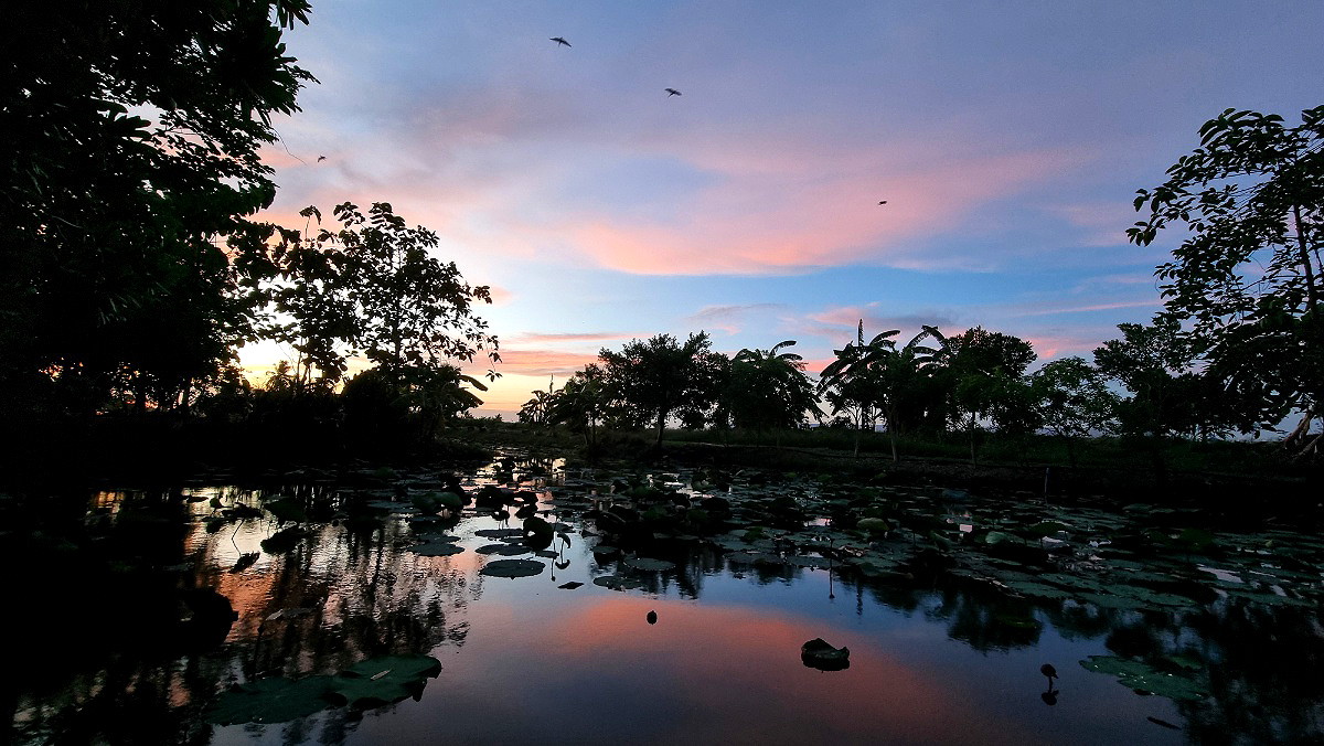 รูปภาพ ในสวน โฮมสเตย์ อินเดอะการ์เดน | อพาร์ทเม้นท์ หอพัก ที่พัก ห้องพัก - รูปที่ 14/15