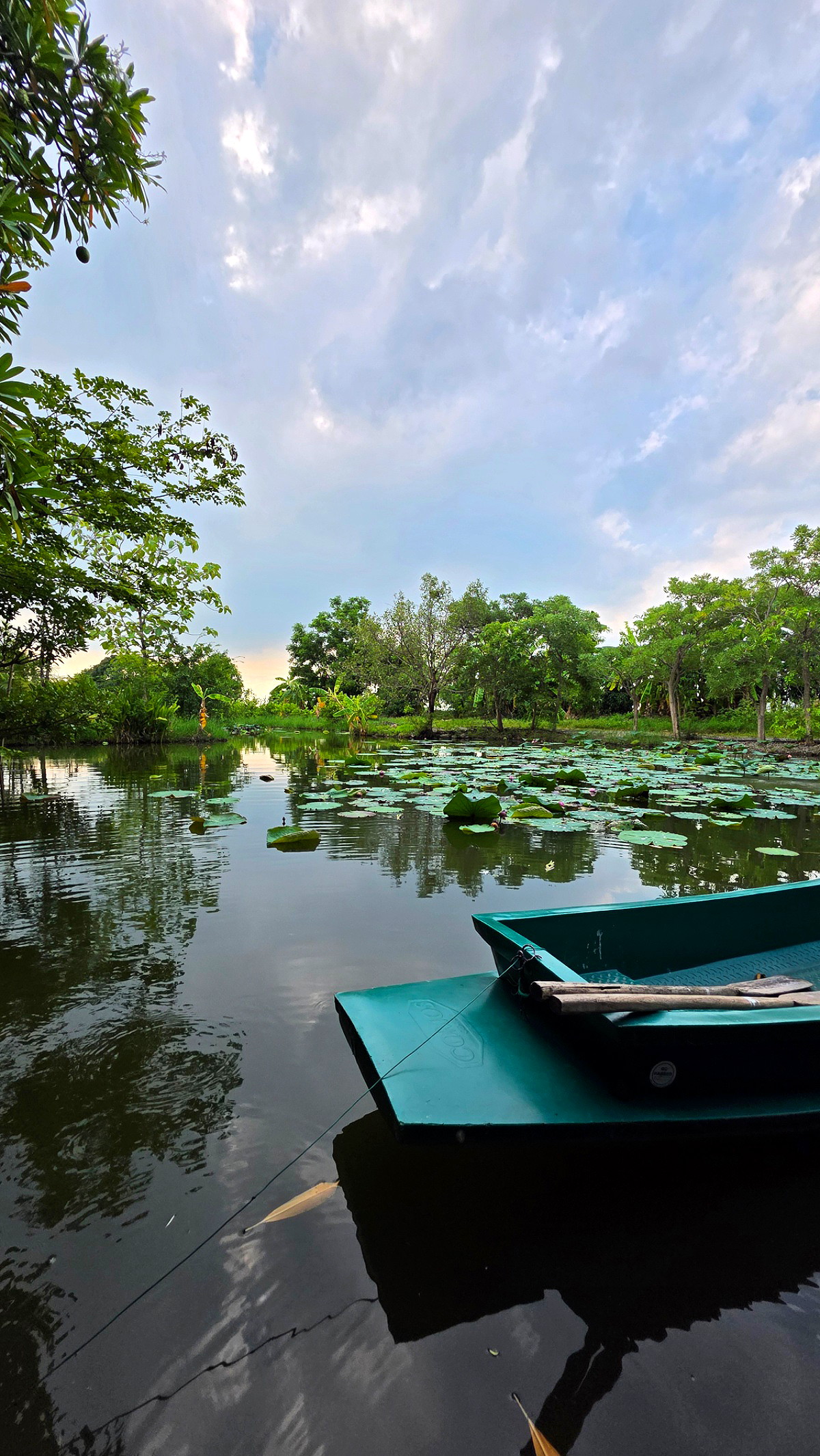 รูปภาพ ในสวน โฮมสเตย์ อินเดอะการ์เดน | อพาร์ทเม้นท์ หอพัก ที่พัก ห้องพัก - รูปที่ 15/15