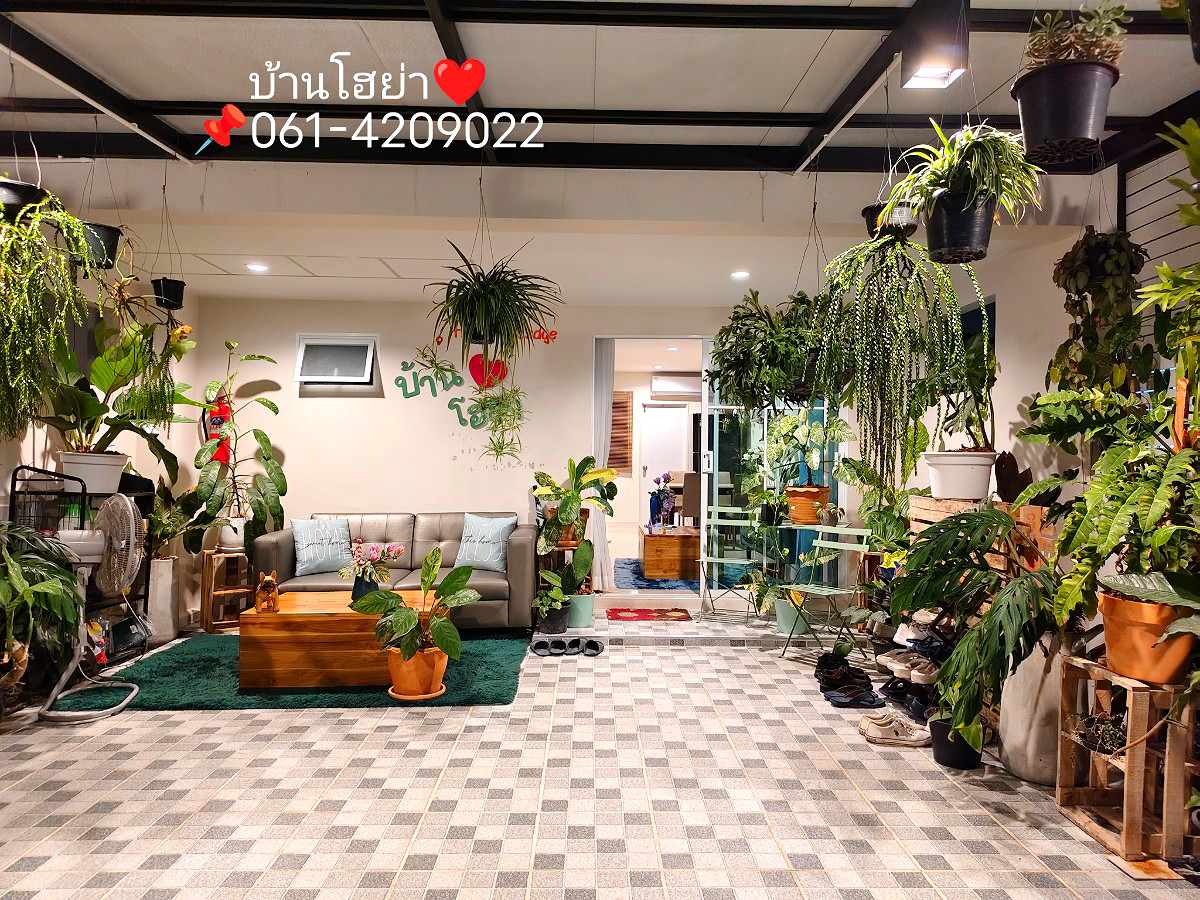 Pictures of Hoya Home stay บ้านโฮย่า 8/11