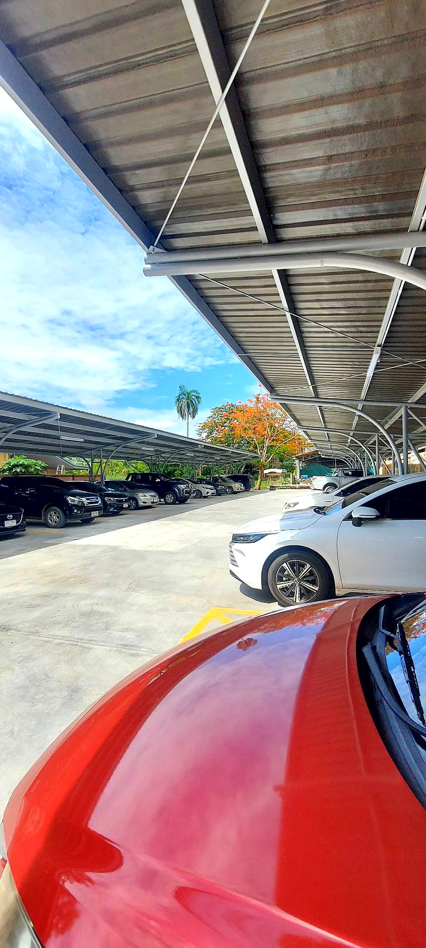 รูปภาพ ซิลเวอร์แซนด์เฮ้าส์ เชียงใหม่ | อพาร์ทเม้นท์ หอพัก ที่พัก ห้องพัก - รูปที่ 23/24