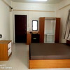 A cool cat.
