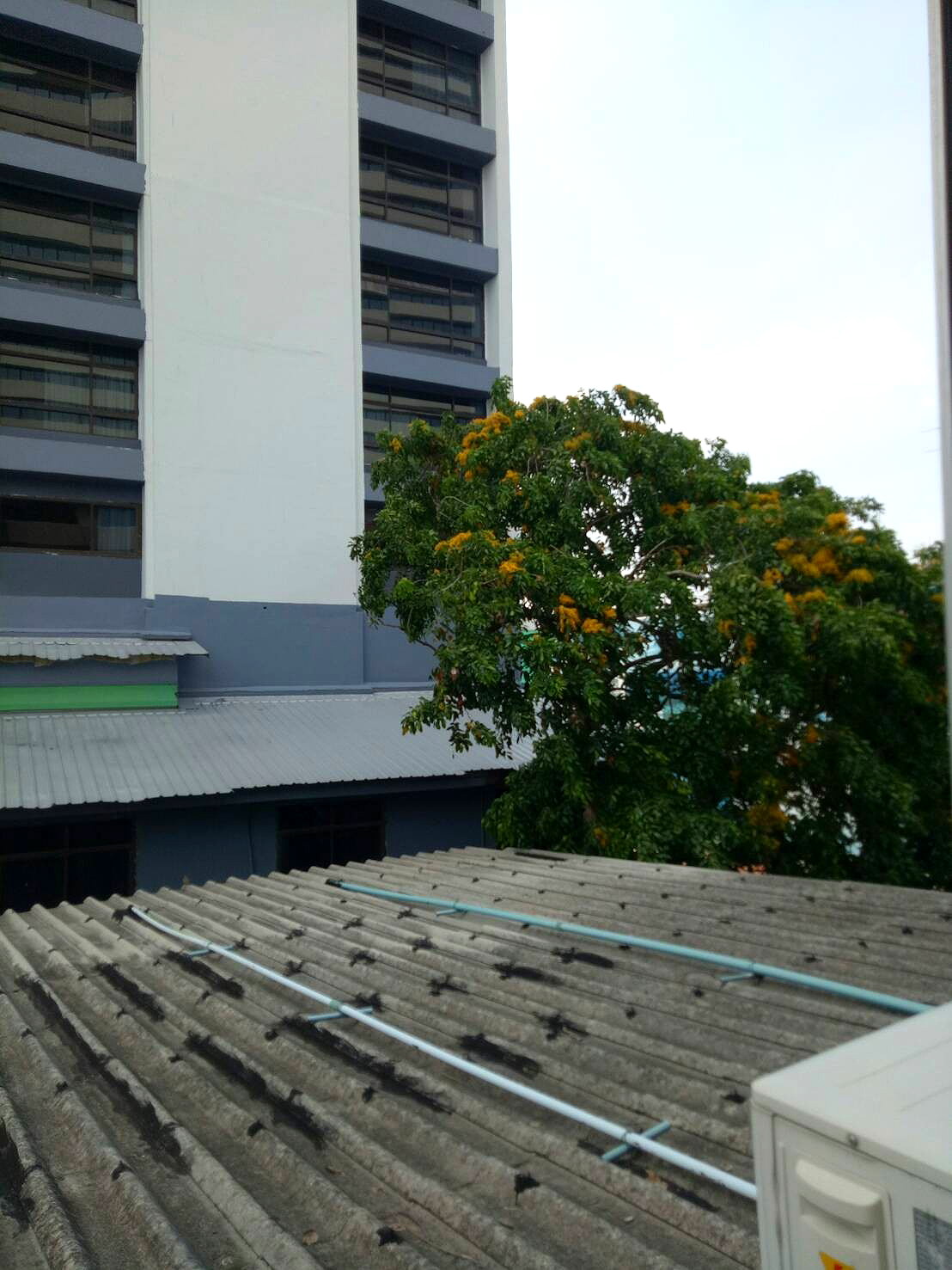 Pictures of PS House Room for rent near MRT Lumpini 600 m. 67/69