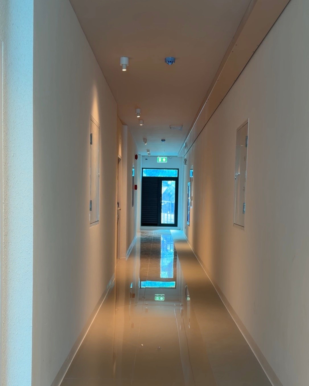 Condo — photo 5