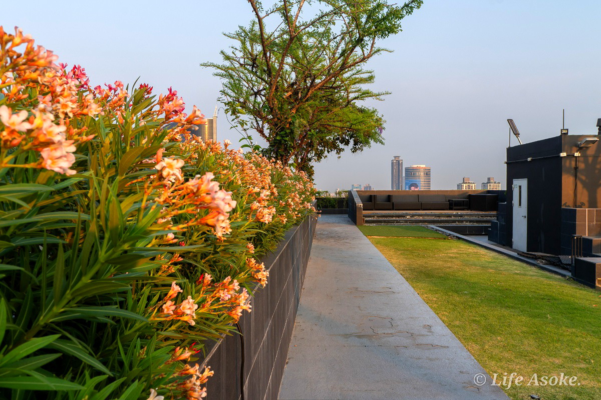 Pictures of Life Asoke 21/69