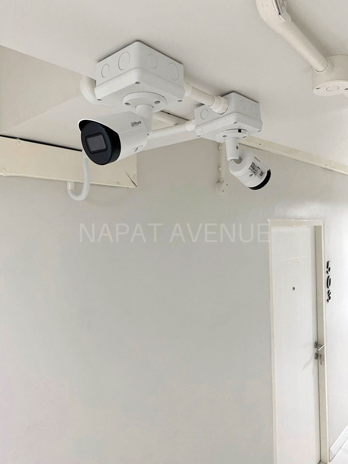 Pictures of NAPAT AVENUE 8/11