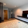 A cool cat.