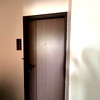 A cool cat.