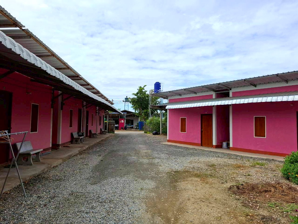 Pictures of Pink House  27/29