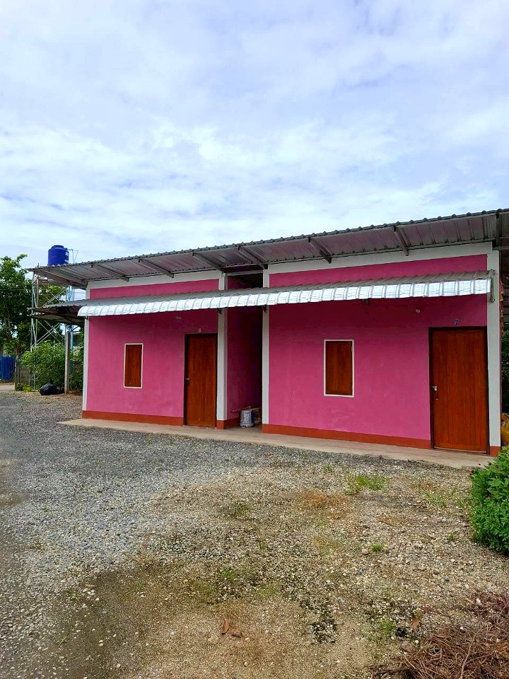 Pictures of Pink House  28/29